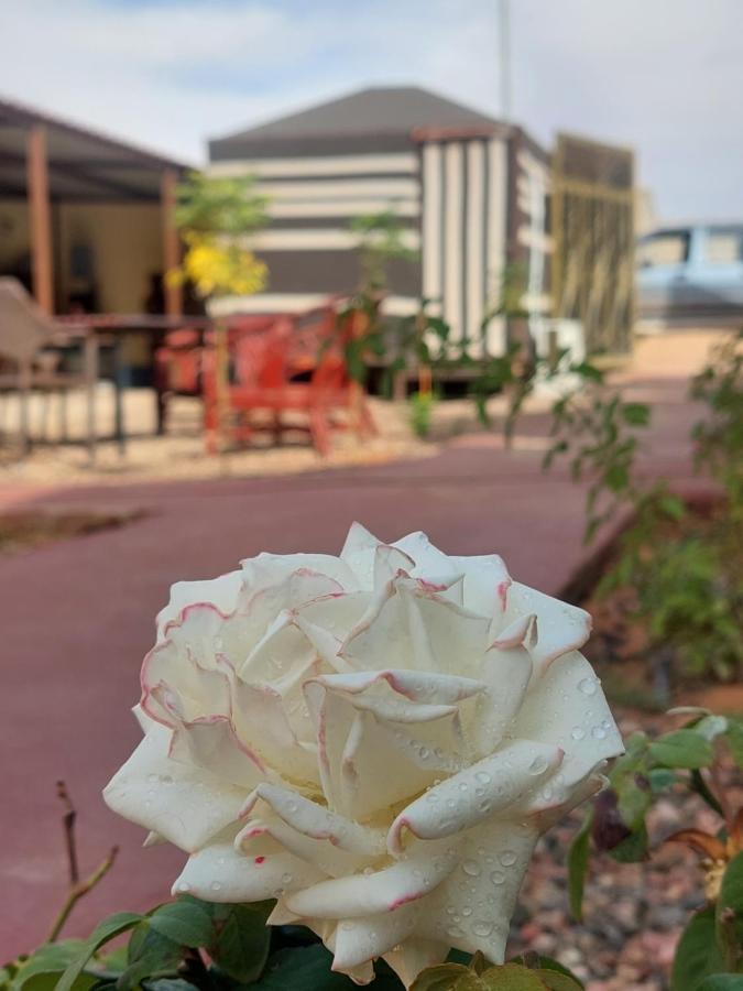 Wadi Rum Oryx Hostel & Tours Экстерьер фото